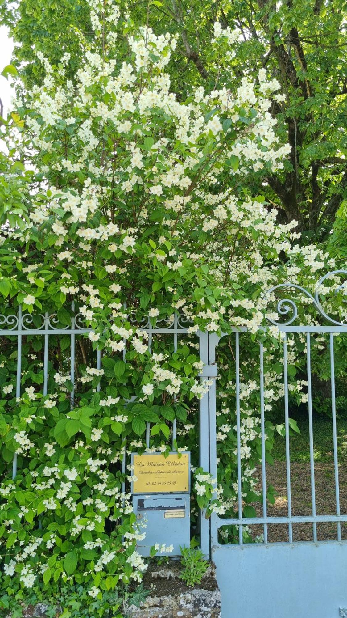 La Maison Celadon Prunay-Cassereau Kültér fotó